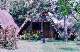 2002_Kenia013